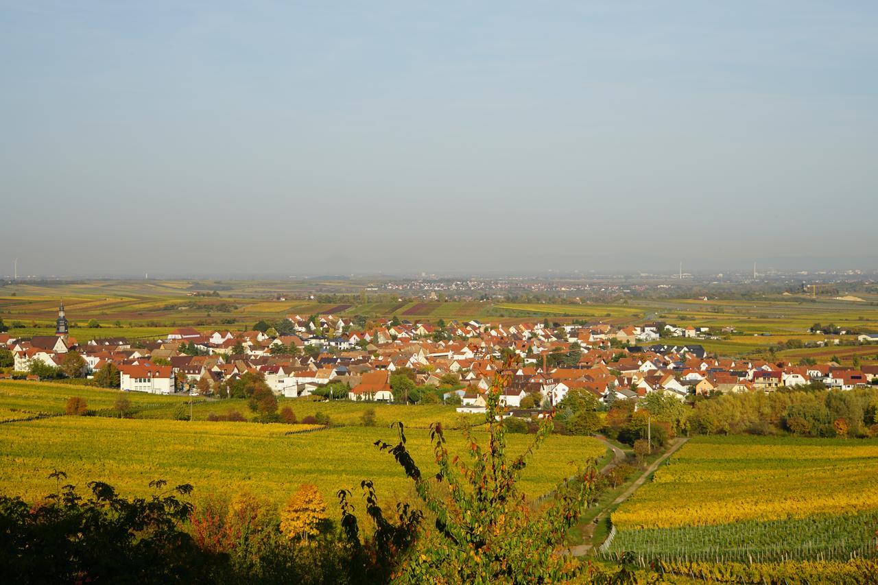 Ferienwohnung Knittel Kallstadt Bagian luar foto
