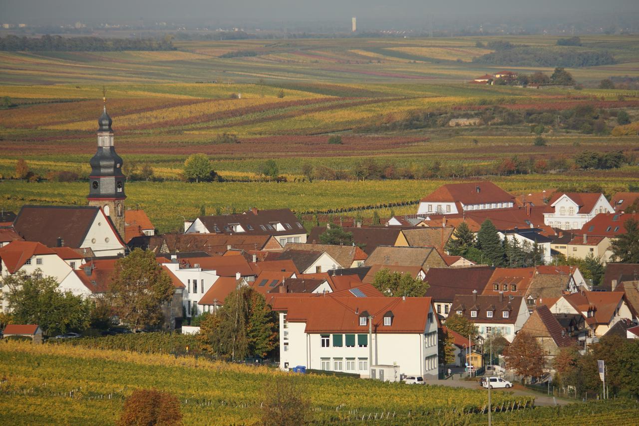 Ferienwohnung Knittel Kallstadt Bagian luar foto